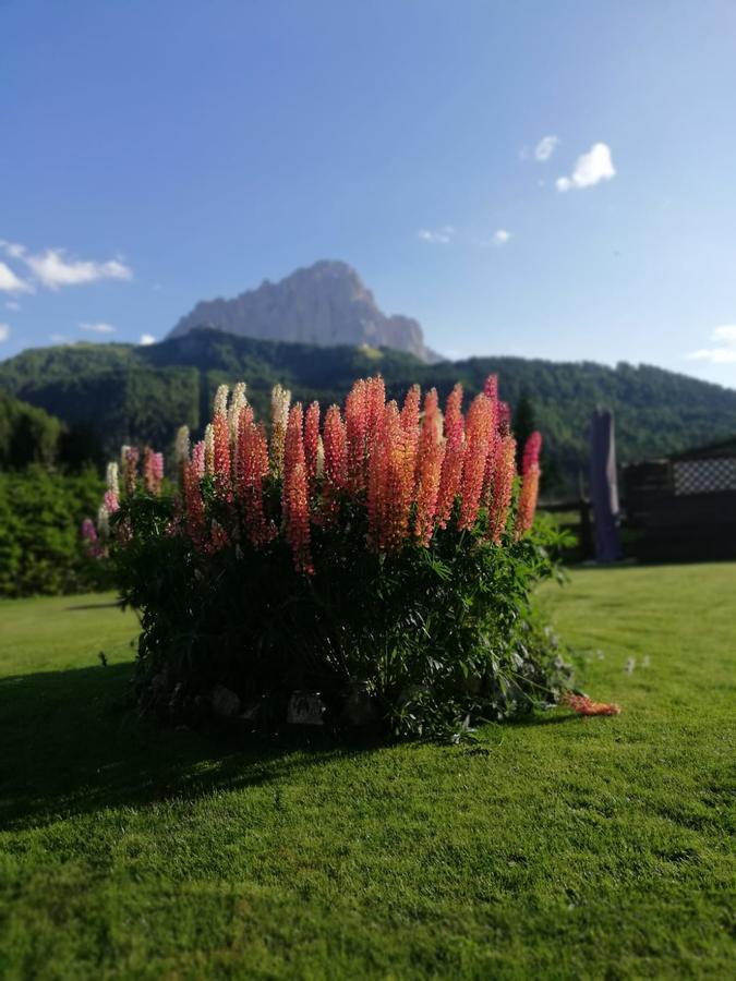 Appartement Cedepuent de Sot à Selva di Val Gardena Extérieur photo